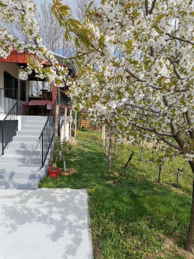 Villa Marijana Varazdinske Toplice Exterior foto