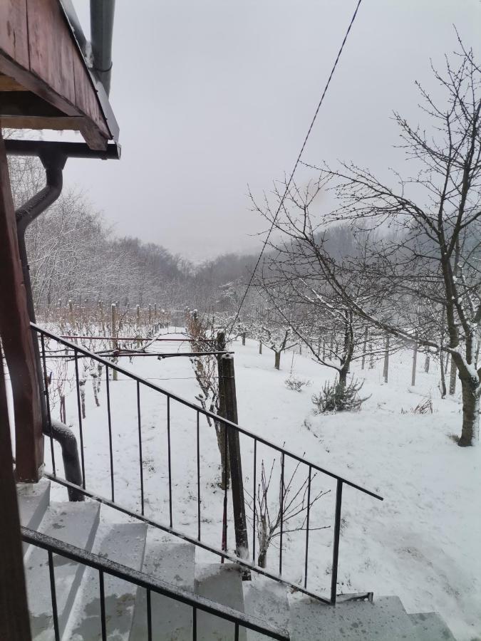 Villa Marijana Varazdinske Toplice Exterior foto