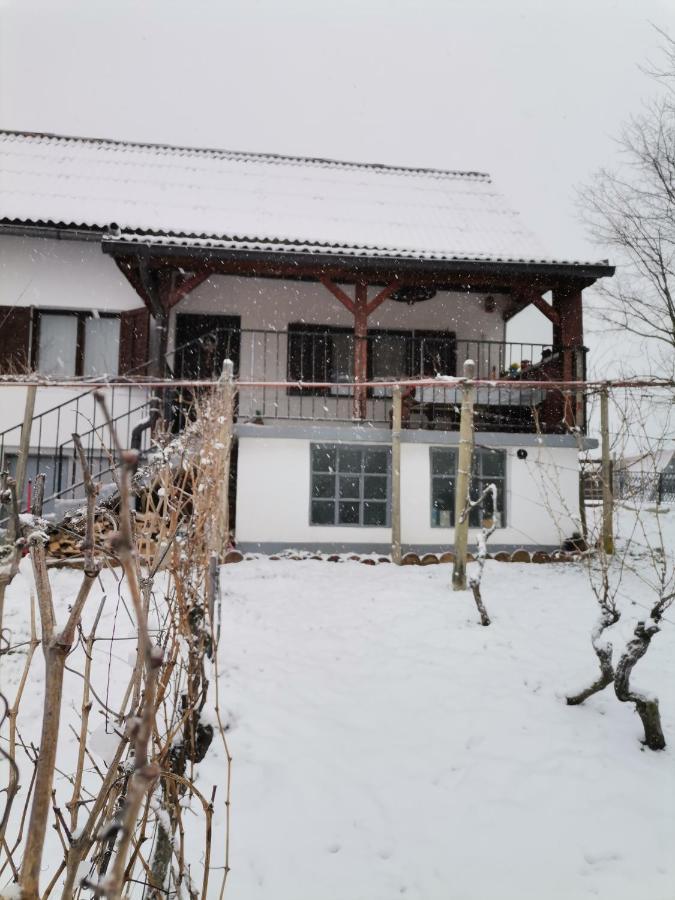 Villa Marijana Varazdinske Toplice Exterior foto