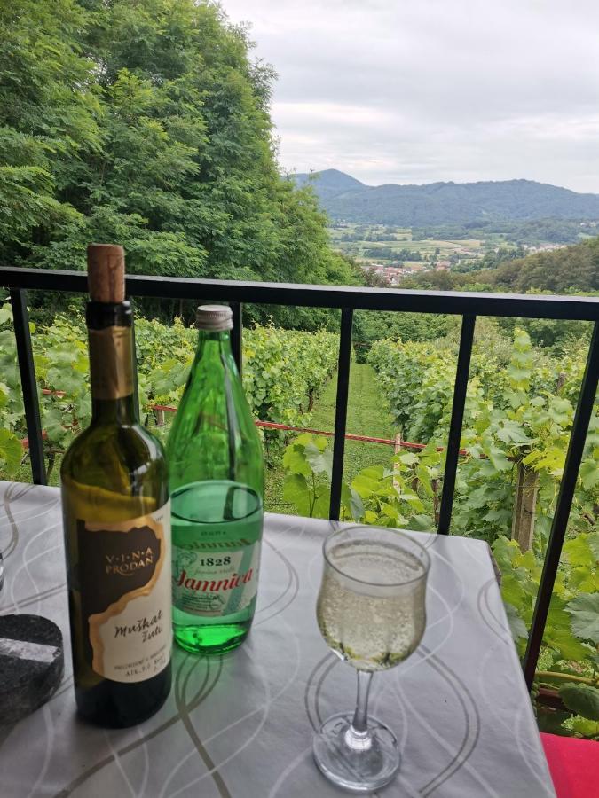 Villa Marijana Varazdinske Toplice Exterior foto