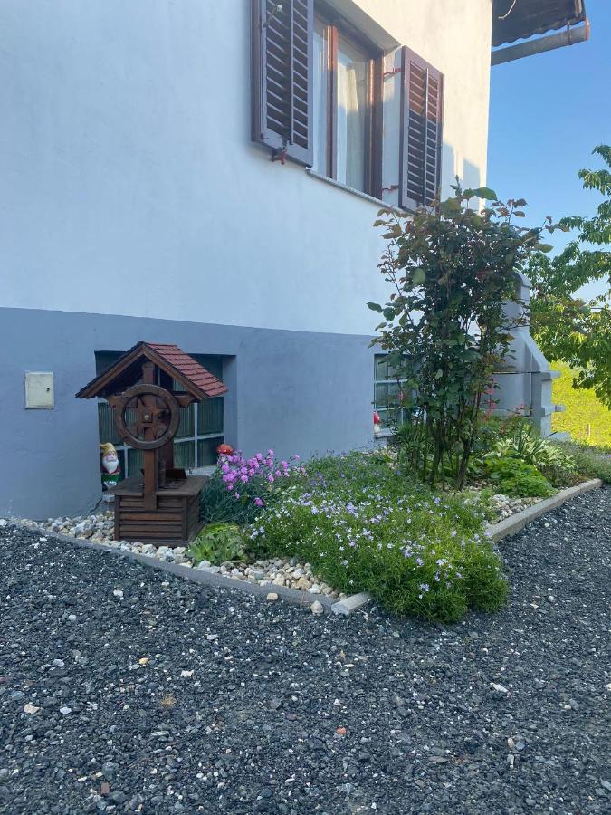 Villa Marijana Varazdinske Toplice Exterior foto